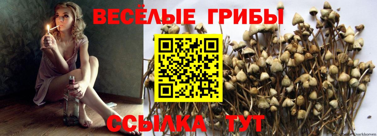 Псилоцибиновые грибы мицелий  Вход с VPN  Псилоцибиновые грибы мицелий  Великие Луки 